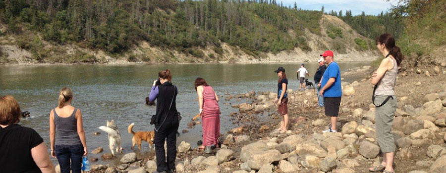 Dogs at the river